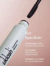 Lengthening Mascara